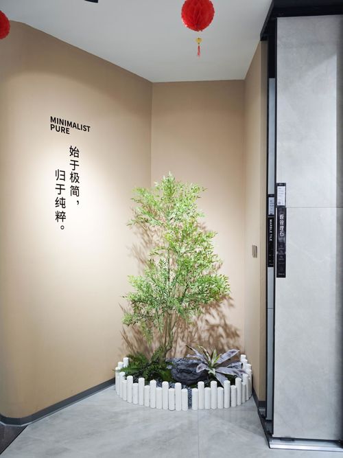 能强瓷砖湛江雷州旗舰店盛大开业啦！(图6)
