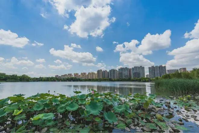 2024年招商虹桥璀璨领峯发布：璀璨领峯售楼处电话·(图文解析)(图5)