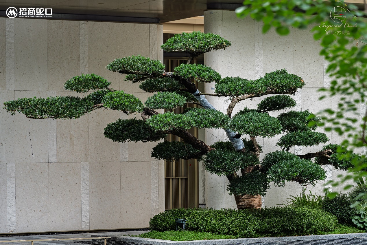 苏河玺实景呈现招商蛇口上海公司以品质营建兑现美好生活(图6)