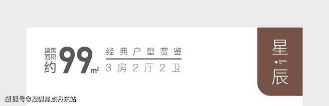 大华星曜(2024大华星曜)网站-楼盘测评-户型配套(图11)