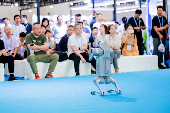 投洽会数字经济展区哪些人形机器人惊艳了全场？(图8)