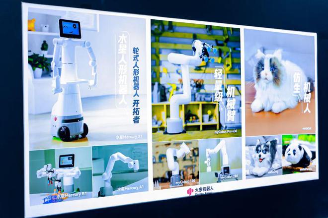 投洽会数字经济展区哪些人形机器人惊艳了全场？(图17)