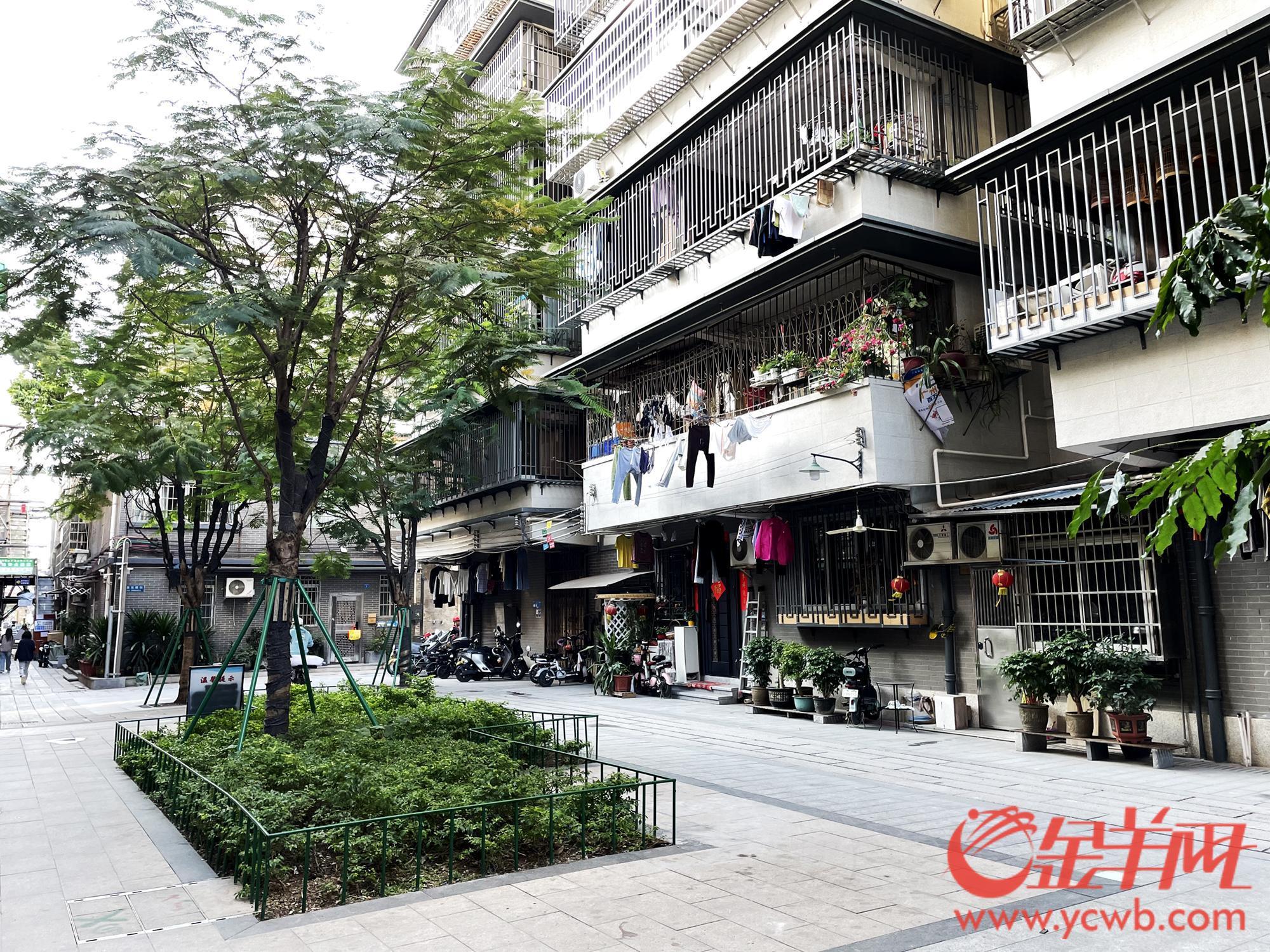 广州荔湾4条历史文化街区“换新貌”惠民工程推进中｜聚“荔”新发展⑨(图7)