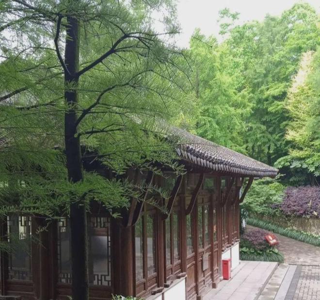 威兰国际中心(上海嘉定V7国际公寓·威兰商业街区)精装纯居住公寓(图3)