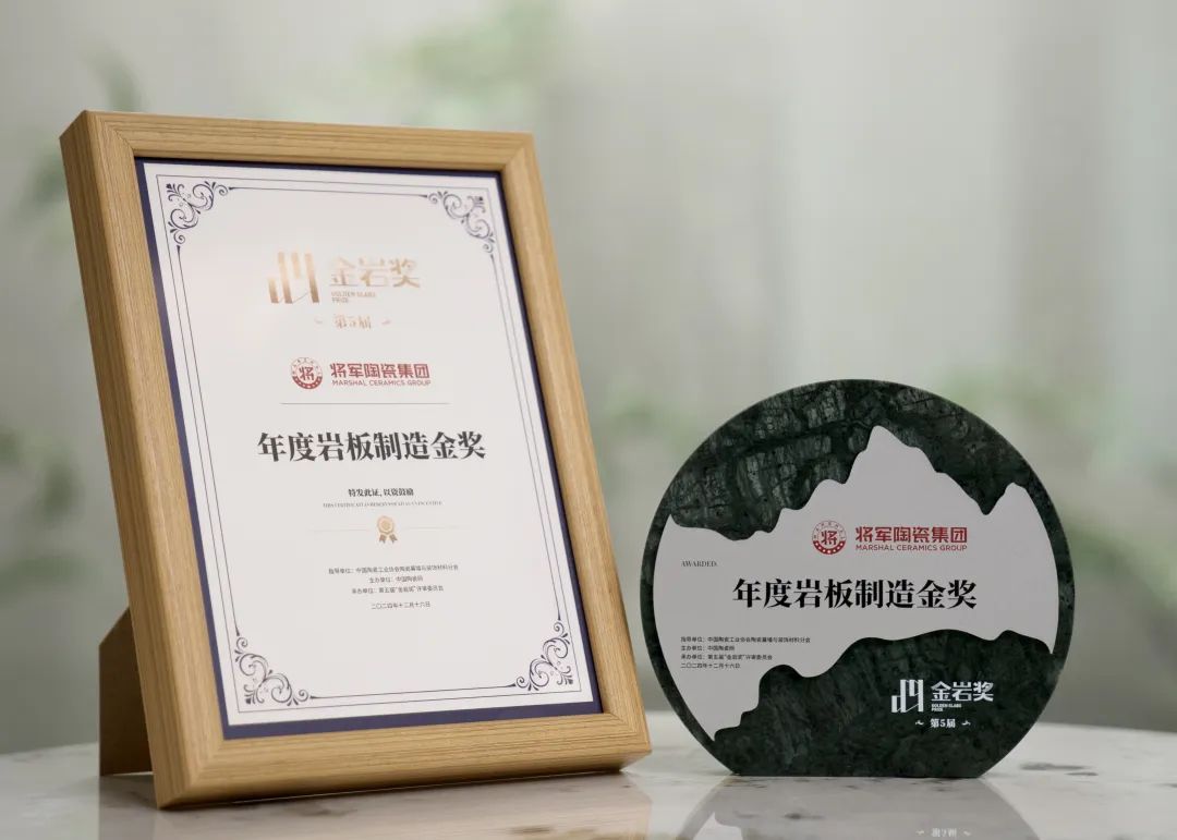 用小米理念做砖用新零售理念卖砖！大将军瓷砖“卷”出了新高度(图6)