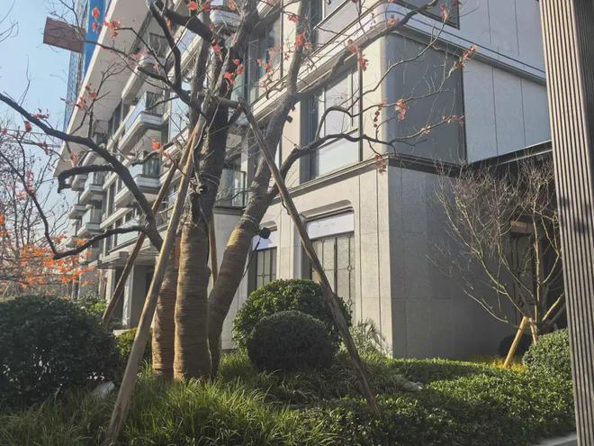 【西派海上】售楼中心首页_西派海上得房率房价缺点(图12)