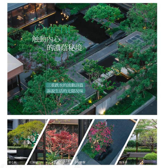 保利·海上瑧悦网站保利·海上瑧悦售楼处地址对口学校(图41)