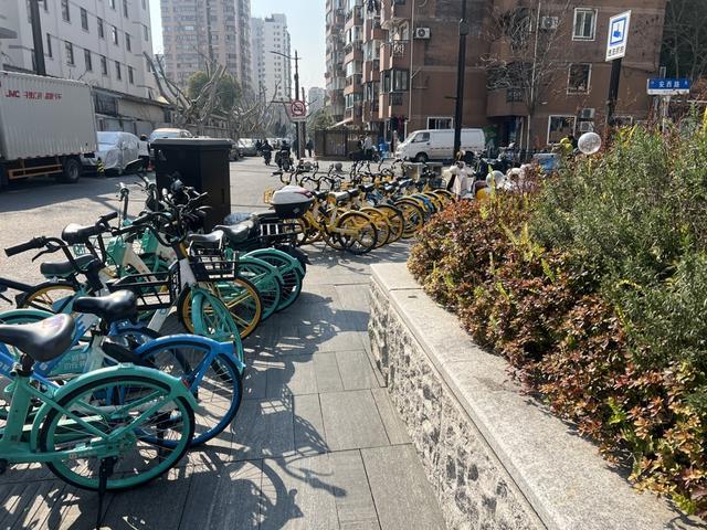这里人行道行路难：非机动车“侵占”绿化带“扎人”(图2)