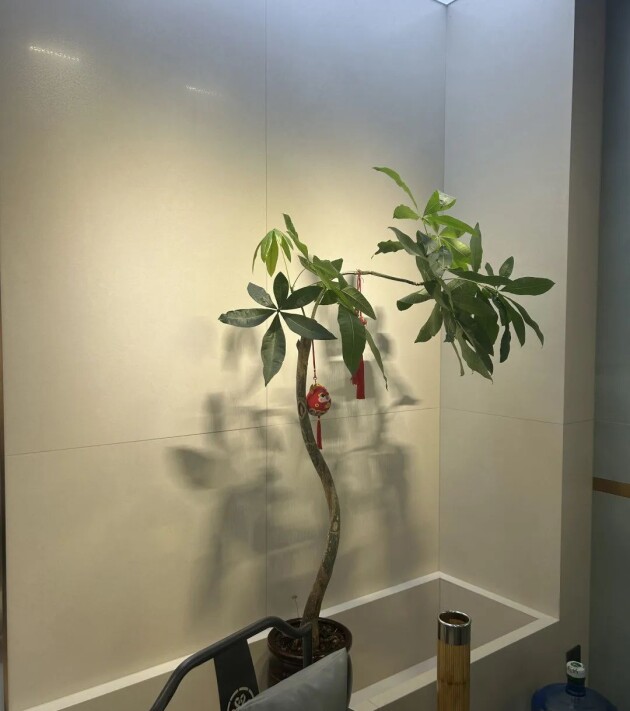 鹰牌陶瓷昆明大商汇旗舰店：空间美学典范重新定义品质之家(图3)