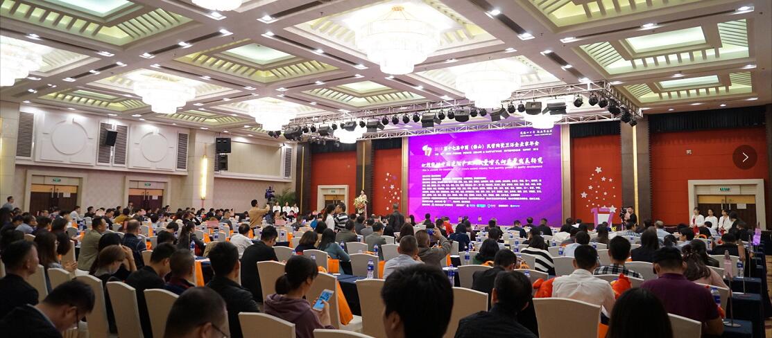 捷报不断！通利大理石瓷砖荣获“优秀大理石瓷砖品牌”！(图1)