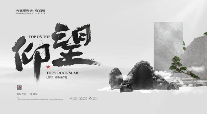 连续两届“金奖”！瓷砖一线品牌大将军瓷砖“仰望”系列成为爆款(图3)