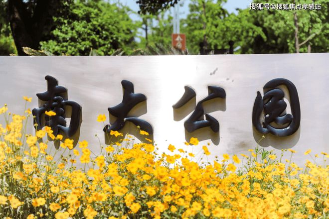 ε保利海上瑧悦售楼发布：一席海上瑧悦半卷江南烟雨入梦来(图15)