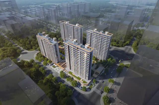 意外！这家央企首进上海样板间厨房被挤爆了！(图24)