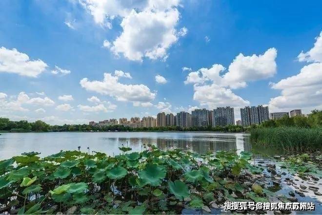 2025虹桥璀璨领峯(售楼处)首页网站虹桥璀璨领峯营销中心-欢迎您-楼盘详情最新价格-户型图-容积率@售楼处(图2)