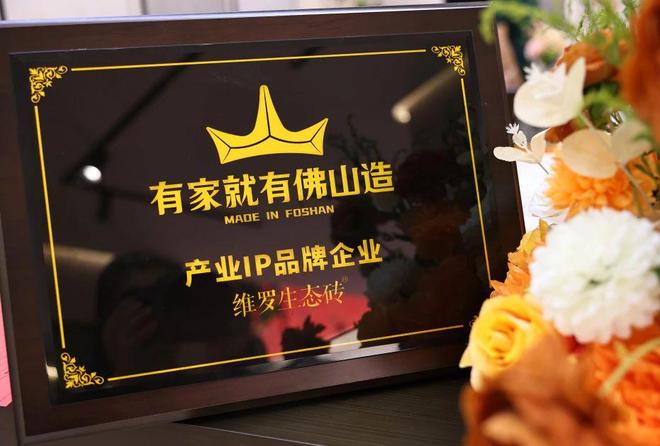 维罗生态砖荣膺“年度家居领军品牌”以智造实力和创新模式引领家居新风潮(图1)