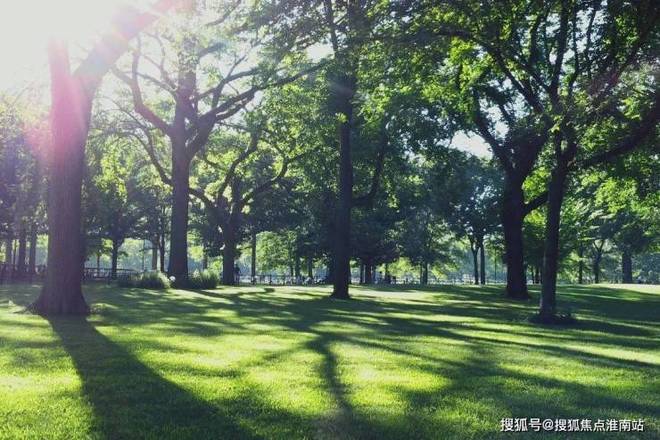 大华公园柏翠售楼处：大华精工筑雕琢公园畔的品质人居范本(图10)