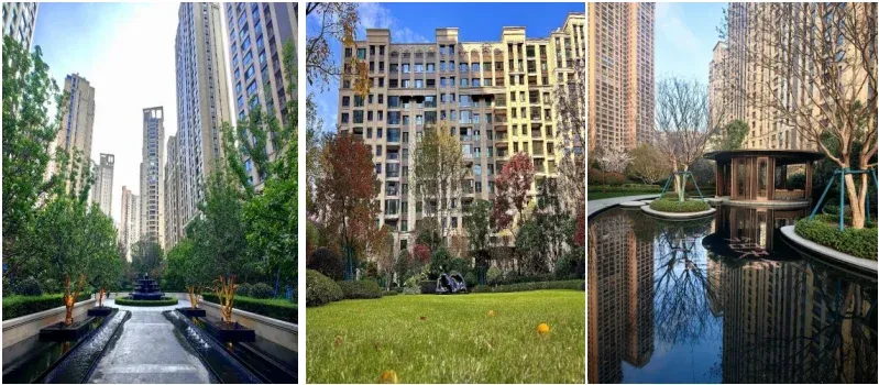 重磅发布！中指研究院最新报告：物业行业面临结构性困局靠这三招破局！(图10)