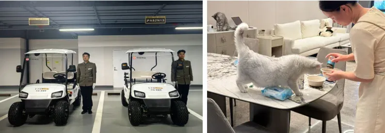 重磅发布！中指研究院最新报告：物业行业面临结构性困局靠这三招破局！(图13)