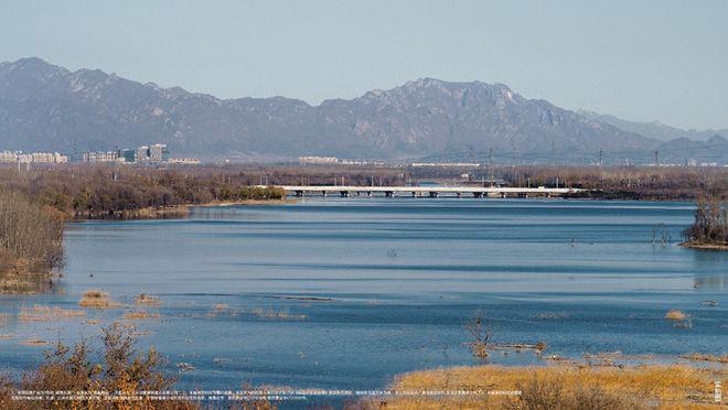 ₰今日聚焦@颐璟和煦售楼处发布：颐璟和煦开启生活新篇章！(图7)