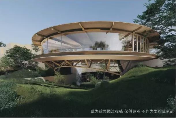 楼市焦点|浦东怀山望火爆认购:精装叠墅开启改善新时代(图11)