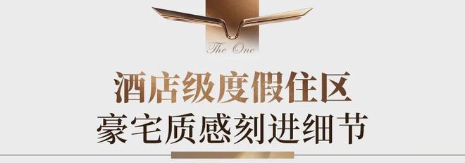 提前190天震撼交付！灯湖改善江景现房卷成豪宅教科书(图5)