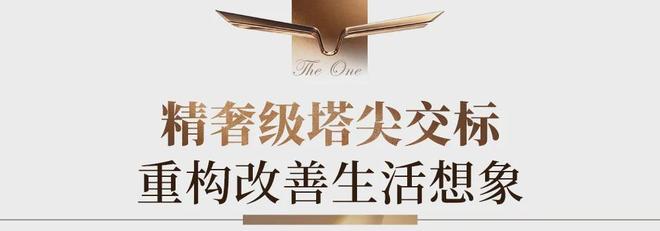 提前190天震撼交付！灯湖改善江景现房卷成豪宅教科书(图18)